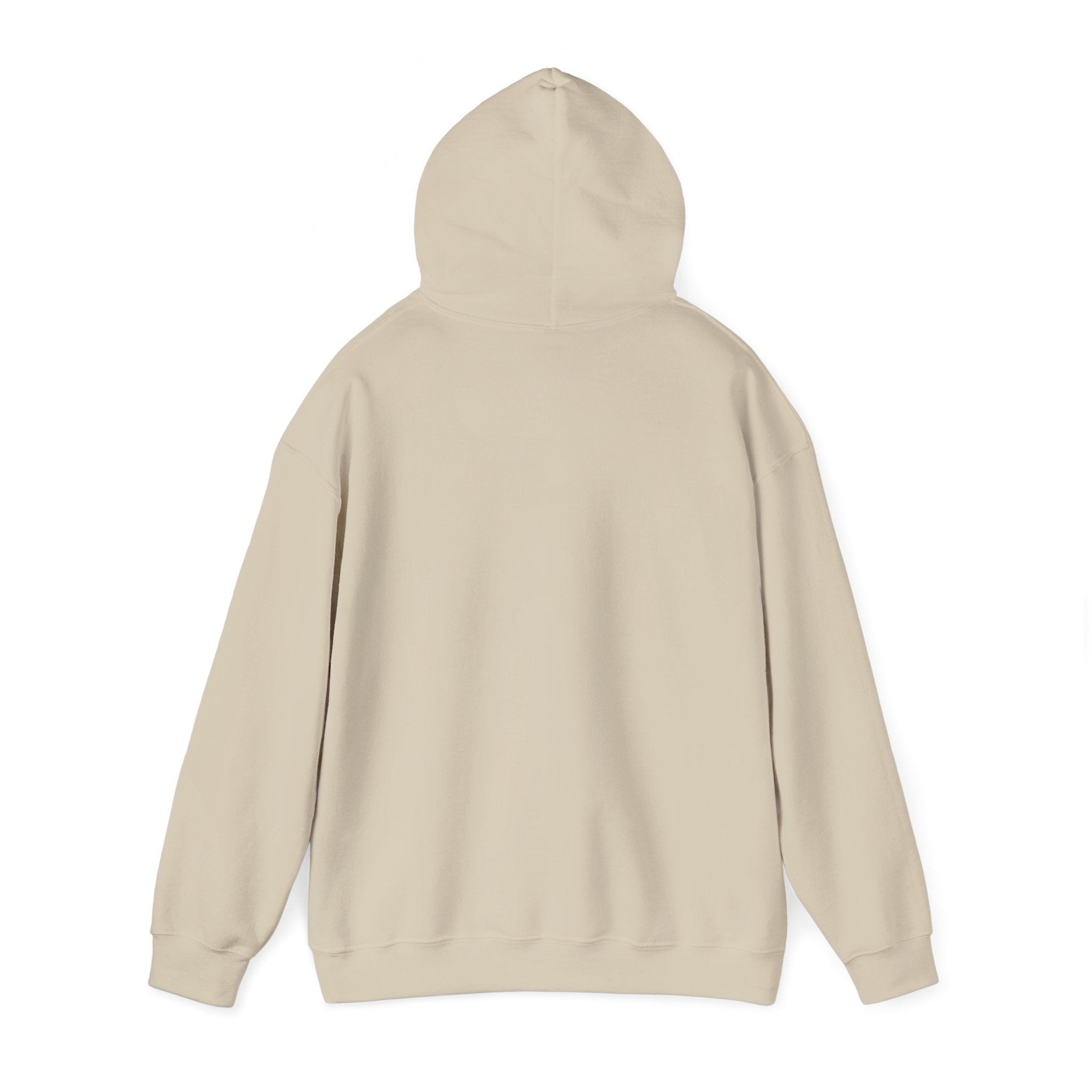 Argentina Futbol Crest Hoodie | Soccer Country Pride, National Colors