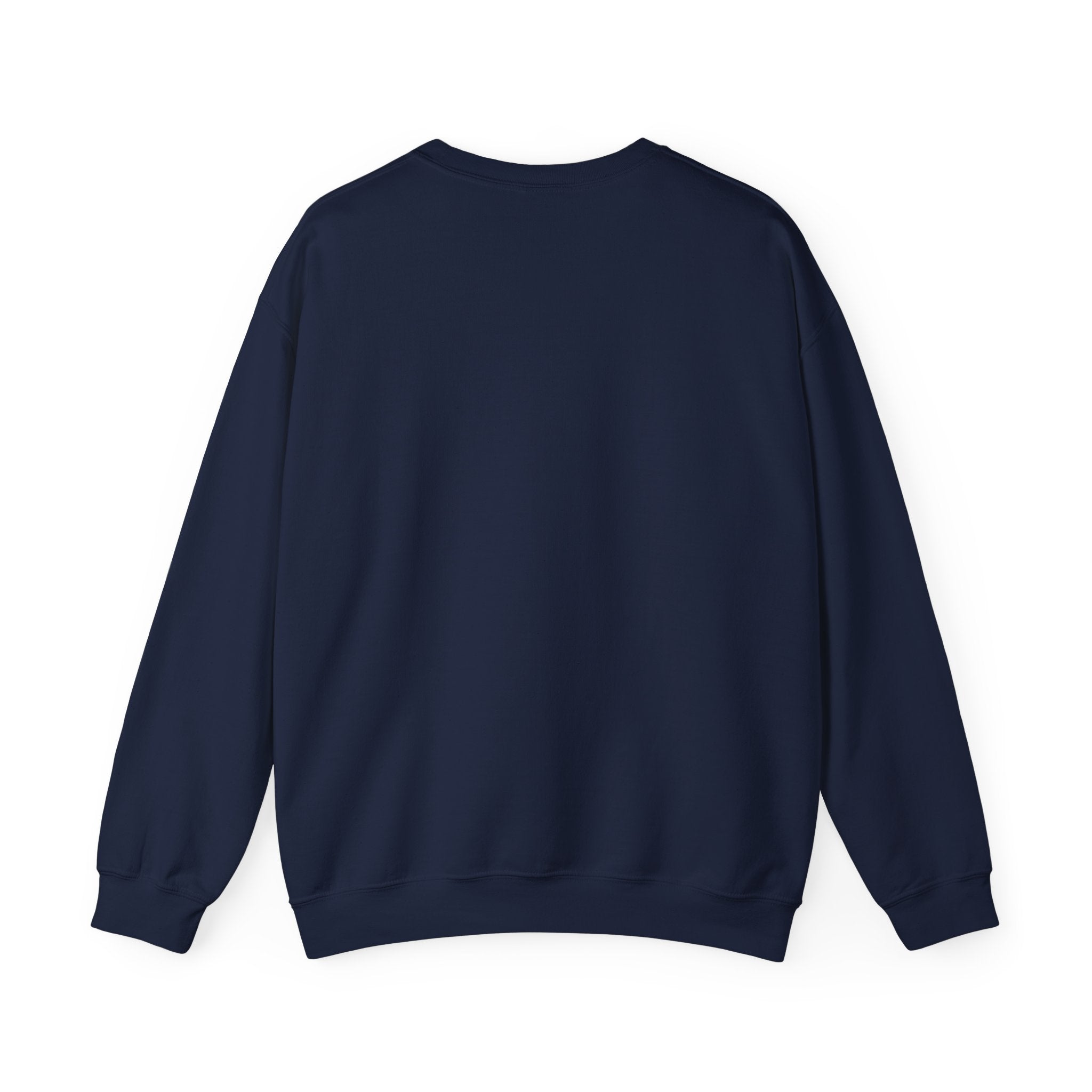 Argentina Fútbol Crest Sweatshirt | Soccer Country Pride, National Colors