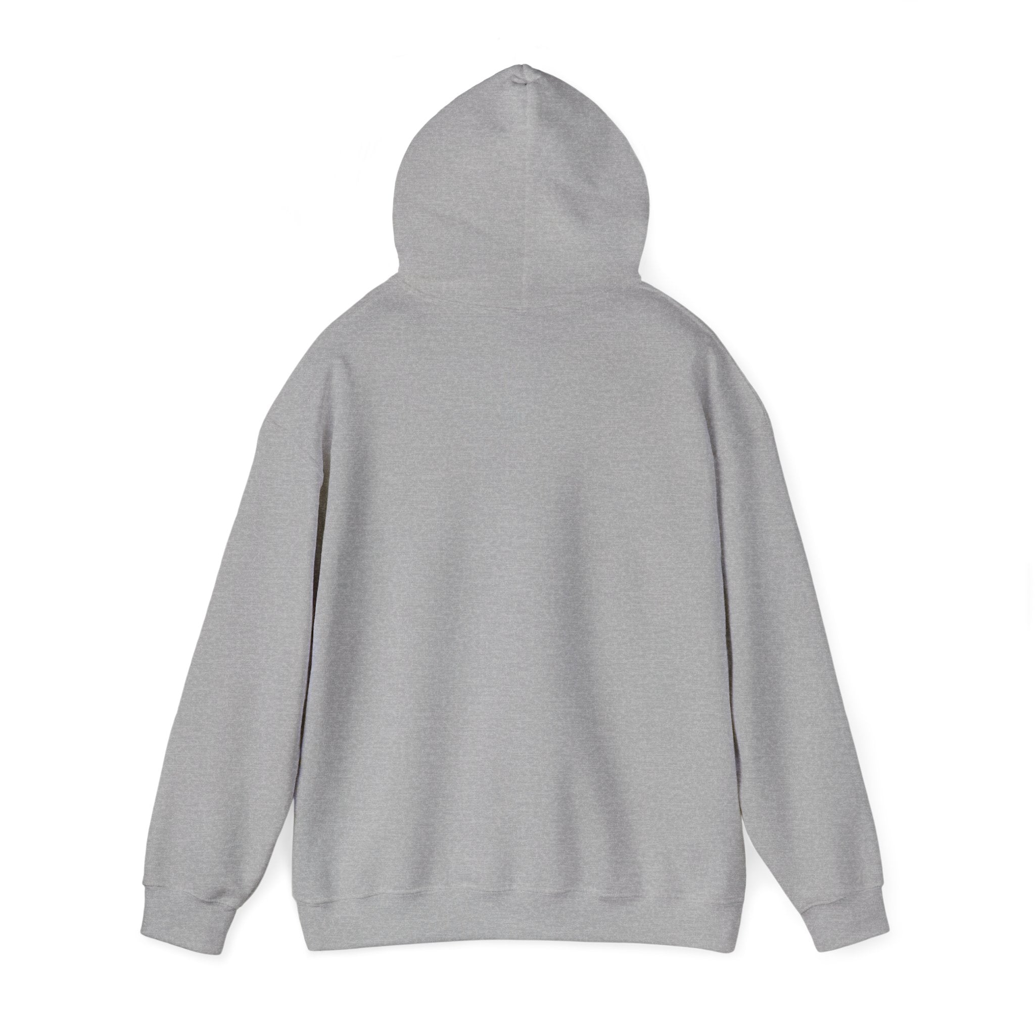 Argentina Futbol Crest Hoodie | Soccer Country Pride, National Colors